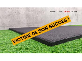 Rupture de stock lot de 6 dalles de sol en caoutchouc de 24 mm pour espace training - LEVEL access