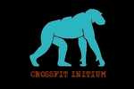 CF INITIUM CF INITIUM